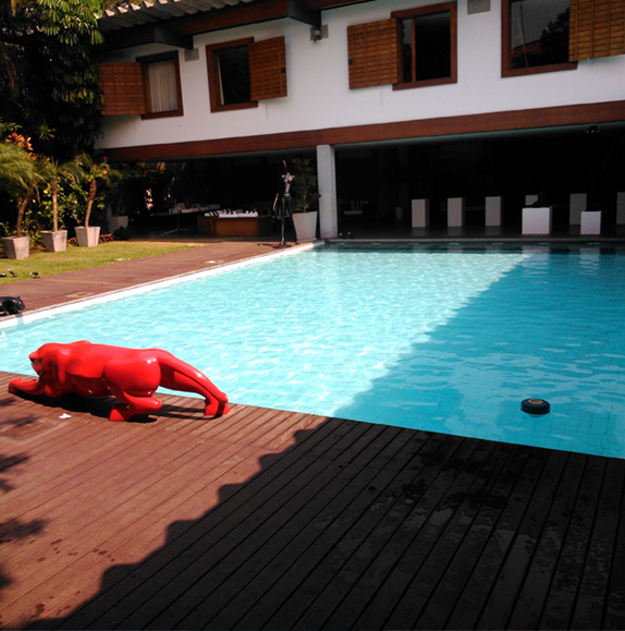 Limpeza de Piscinas em São Paulo
